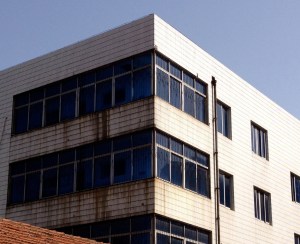 White-tile blight of the 1990s