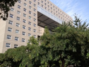 Chinese university 2